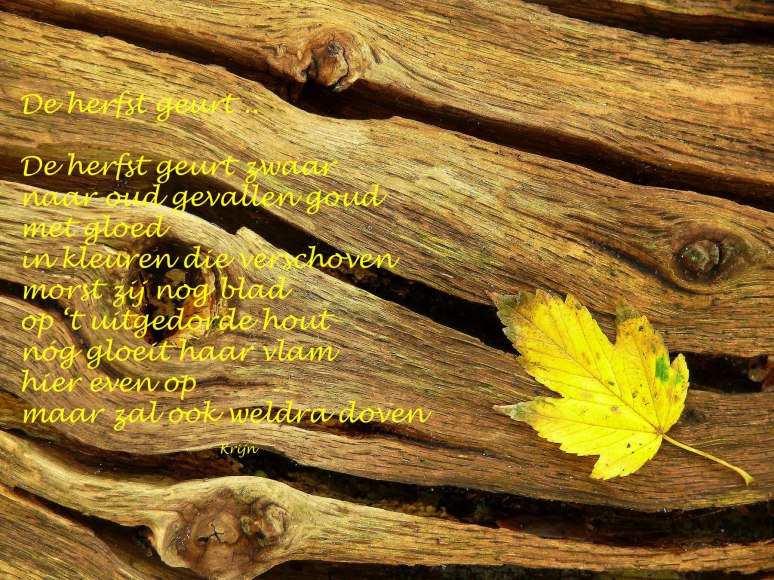 Herfst geurt .