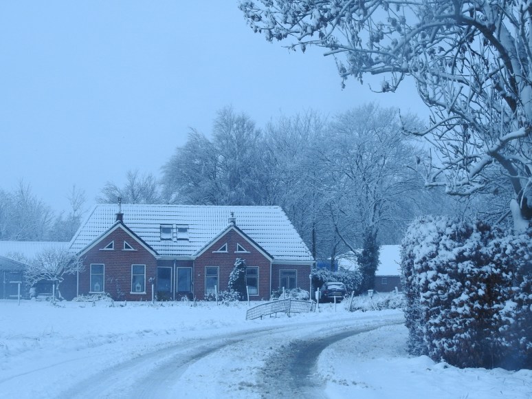 sneeuwhuis