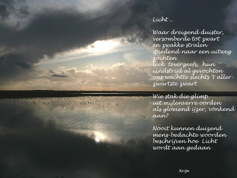 Wad bij Holwerd Lichtkopie