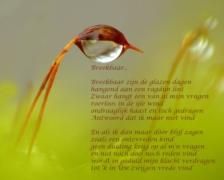 Druppel aan mosspoor Jun2