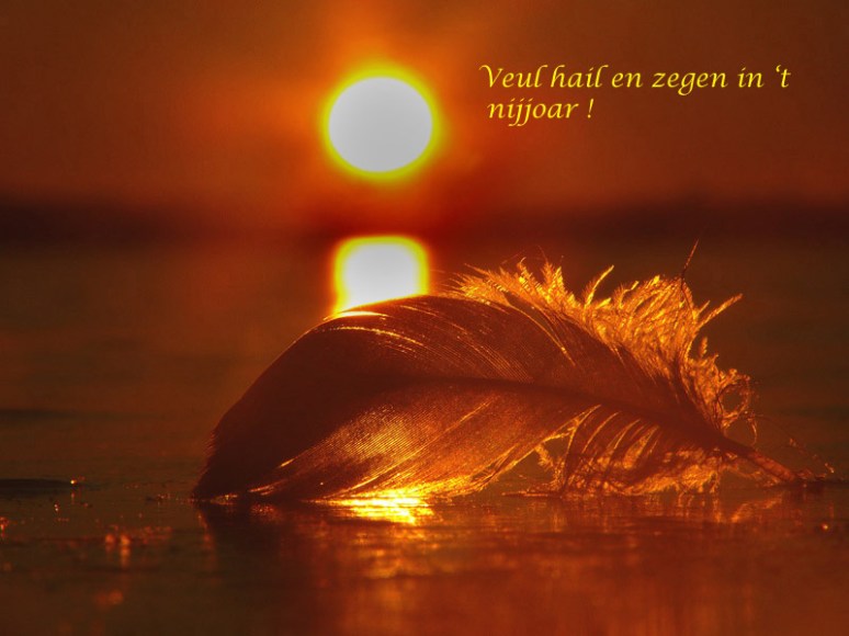 Veertje, Januari
