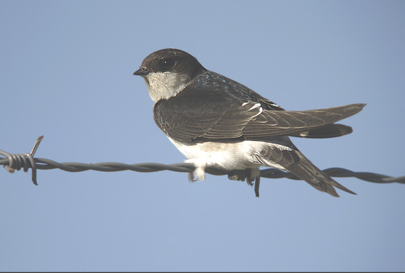 Schermopname (50)kopie