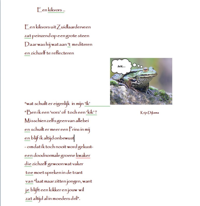 Schermopname (65)kopie